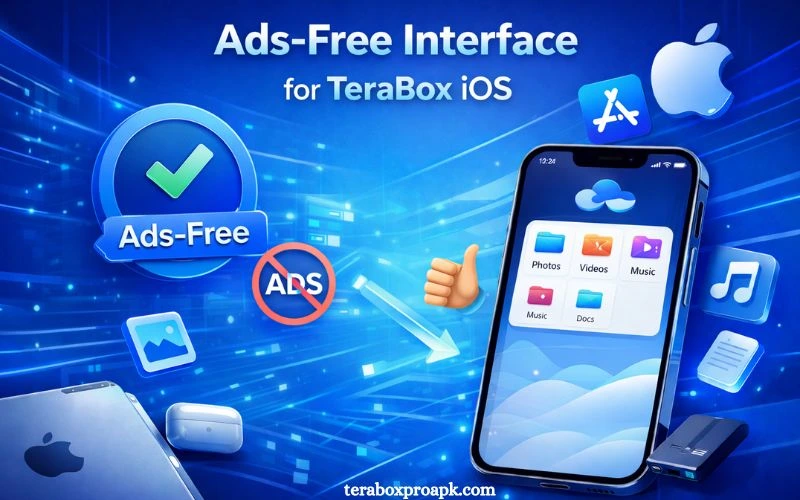 Ad-free Interface for Terabox iOS