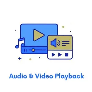 Multi-speed Video and Audio playback