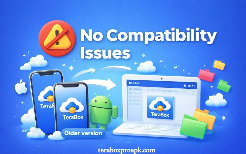 No Compatibility Issues
