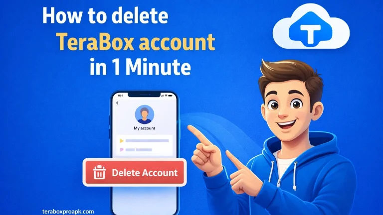Delete TeraBox Account