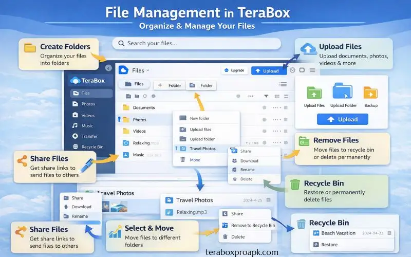 File Management