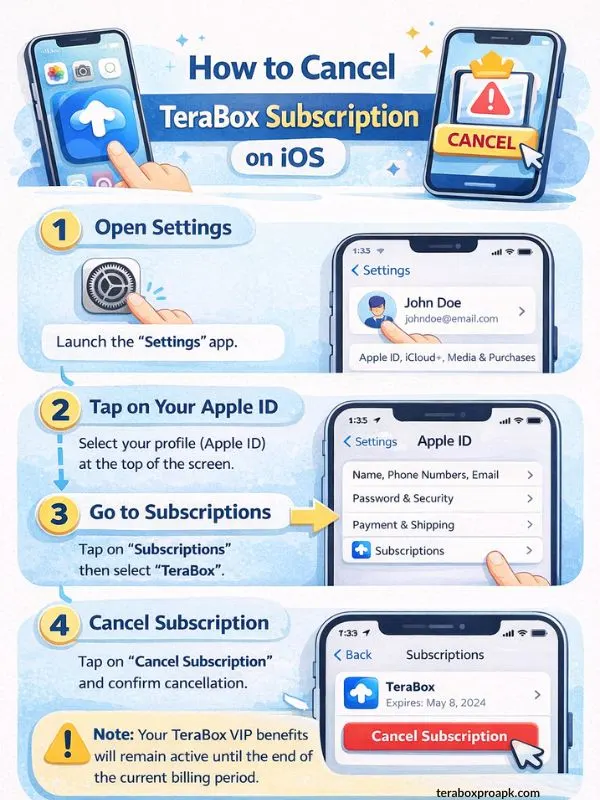 Manual Guide to Cancel TeraBox Subscription on IOS