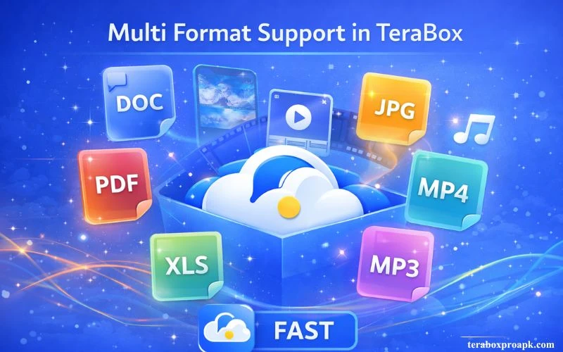 Multi Format Support