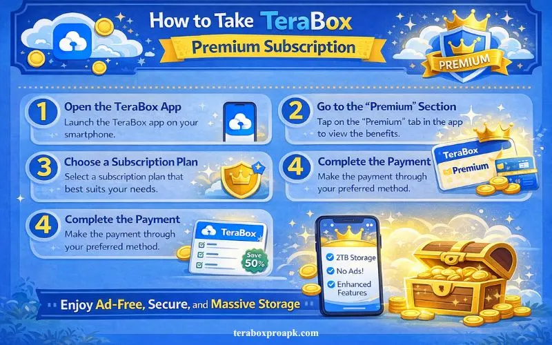 TeraBox Premium Subscription