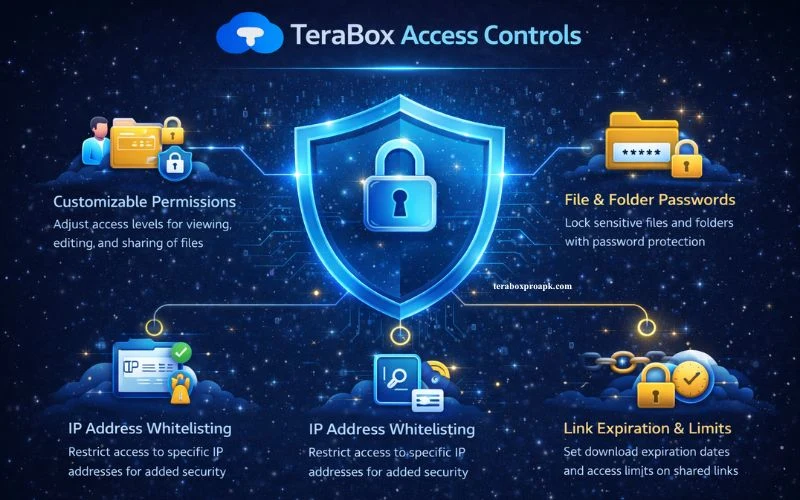 TeraBox Access Controls