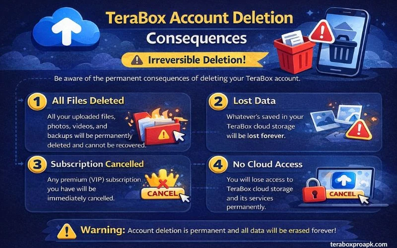 TeraBox Account Deletion Consequences